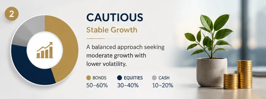 Cautious investment portfolio balancing growth and stability with moderate risk