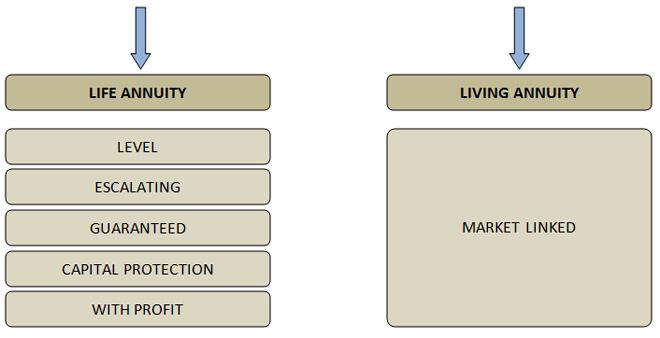 Retirement Risk Management Image